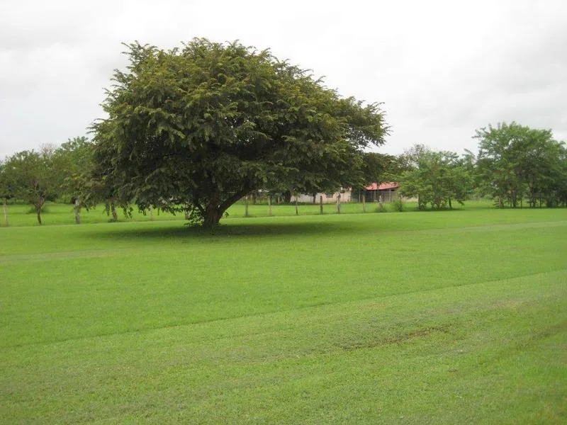 0 bed Land For Sale in Playas Del Coco, Guanacaste - 1