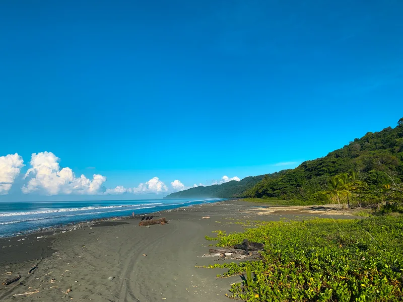 0 bed Land For Sale in Puntarenas, Puntarenas - 1