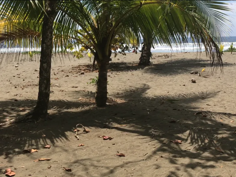 0 bed Land For Sale in Matapalo, Puntarenas - 1