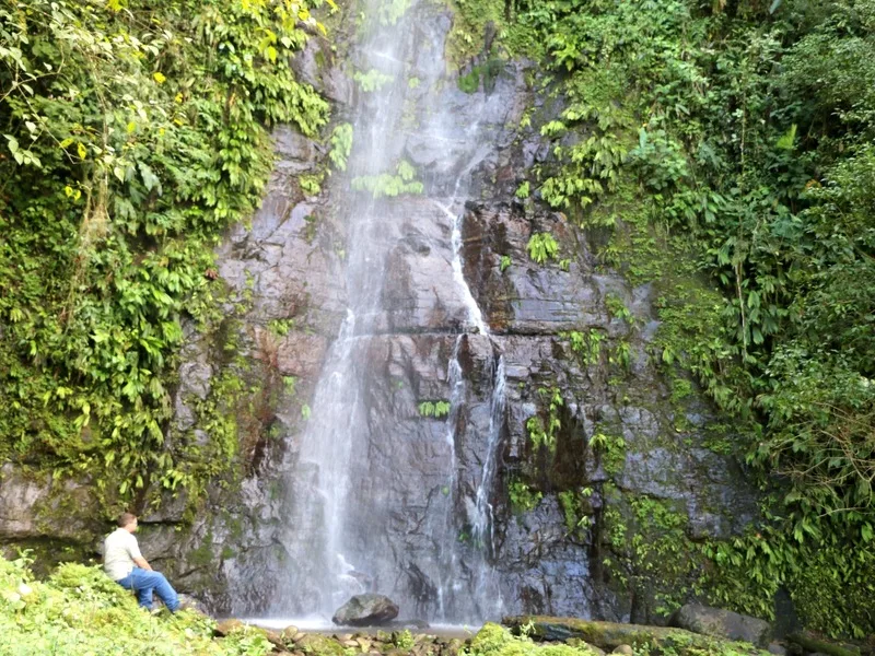0 bed Land For Sale in Uvita, Puntarenas - 1