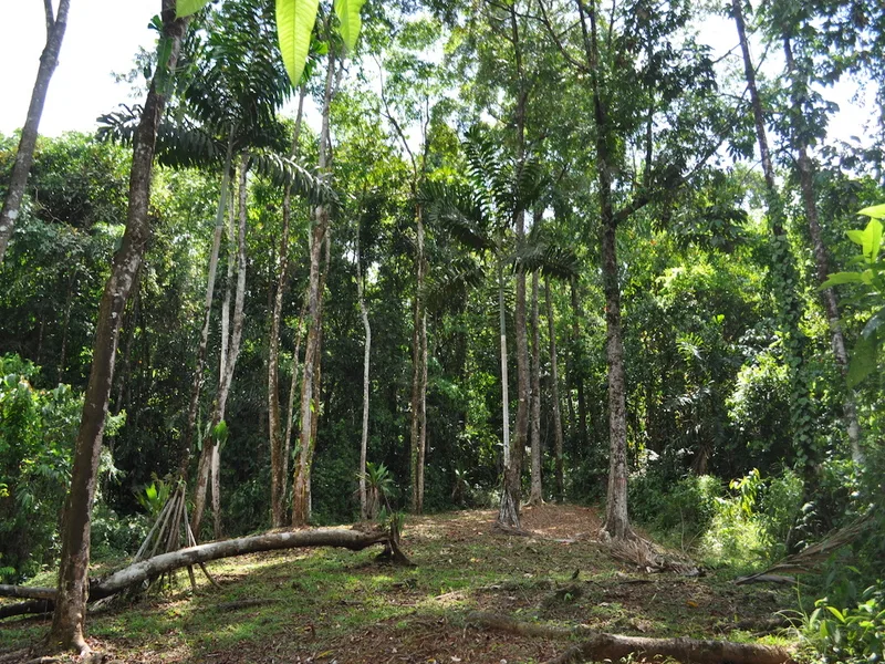 0 bed Land For Sale in Matapalo, Puntarenas - 1