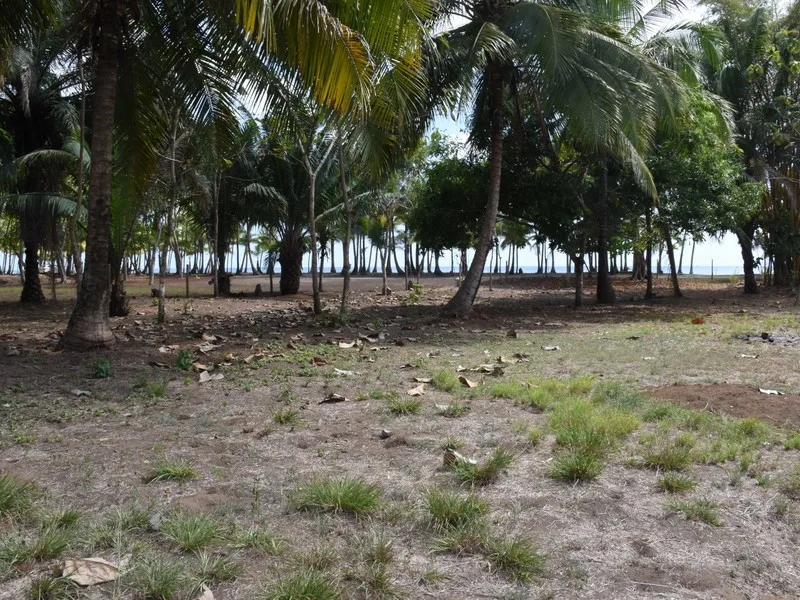 0 bed Land For Sale in Dominical, Puntarenas - 1