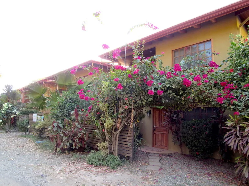 3 bed Single Family Homes For Sale in Dominical, Puntarenas - 1