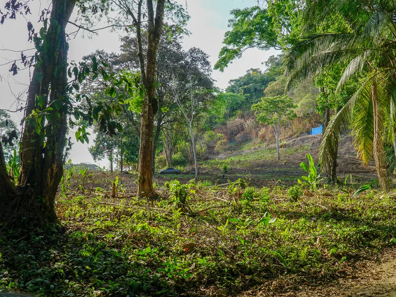 0 bed Land For Sale in Ojochal, Puntarenas - 1