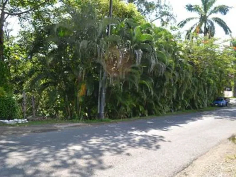 0 bed Business For Sale in Manuel Antonio, Puntarenas - 1