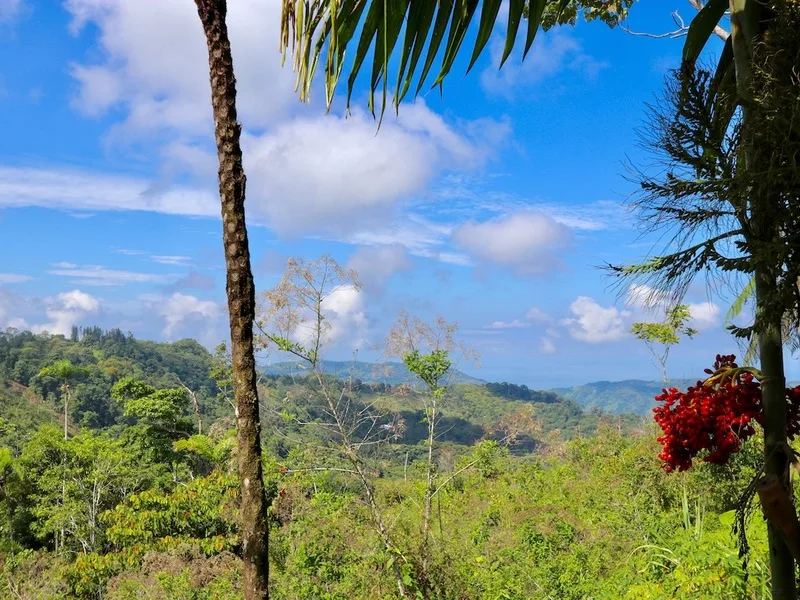 0 bed Land For Sale in Dominical, Puntarenas - 1