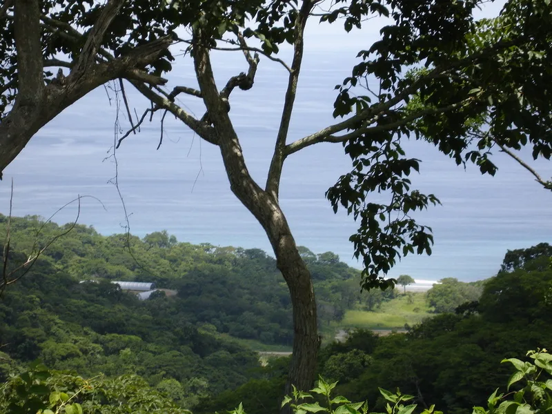 0 bed Land For Sale in Papagayo Gulf, Guanacaste - 1