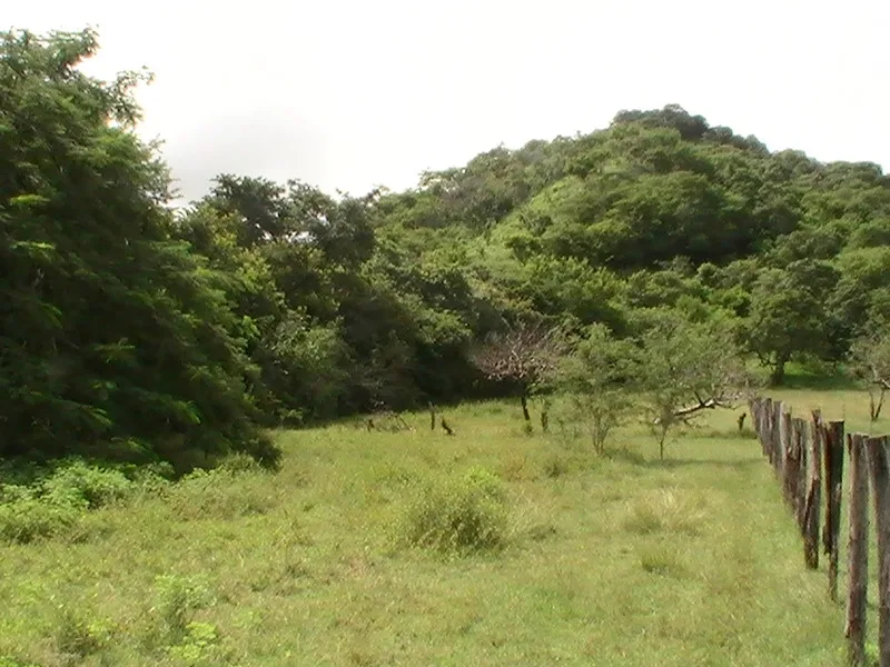 0 bed Land For Sale in Playas Del Coco, Guanacaste - 1