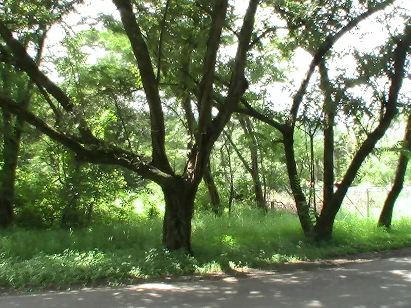 0 bed Land For Sale in Playas Del Coco, Guanacaste - 1