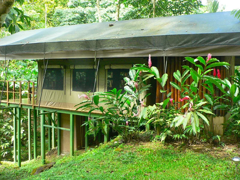 12 bed Hotel / Leisure For Sale in Ojochal, Puntarenas - 1
