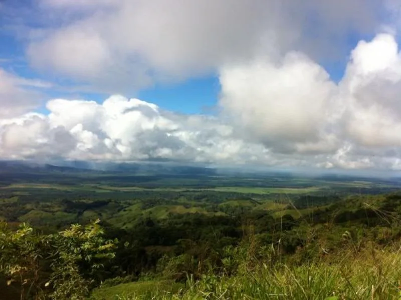 0 bed Land For Sale in Palmar, Puntarenas - 1