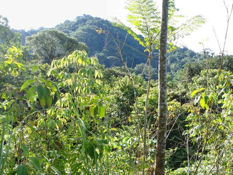 0 bed Land For Sale in Ojochal, Puntarenas - 1