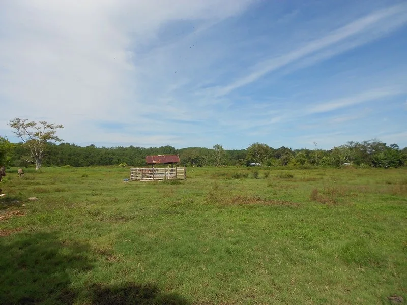 0 bed Land For Sale in Uvita, Puntarenas - 1