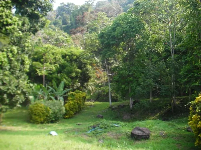 0 bed Land For Sale in Dominical, Puntarenas - 1