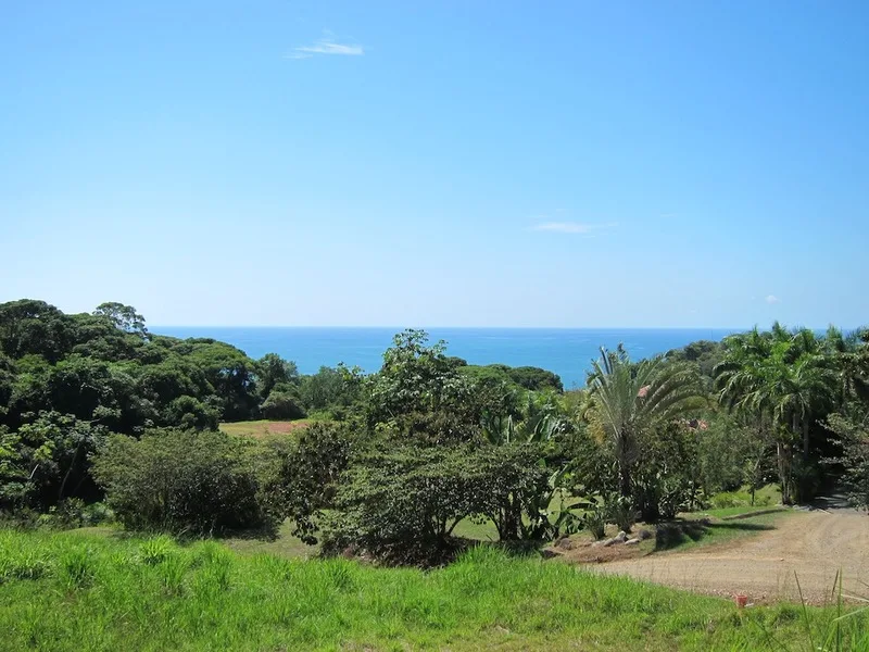 0 bed Land For Sale in Dominical, Puntarenas - 1