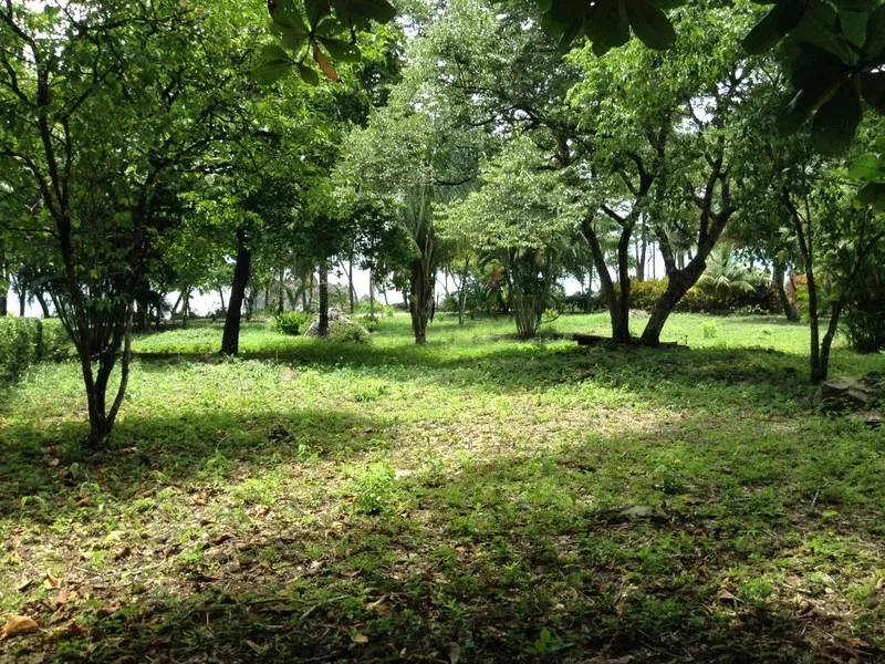 0 bed Land For Sale in Pavones, Puntarenas - 1