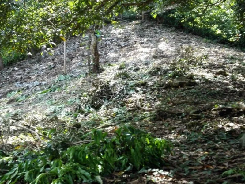 0 bed Land For Sale in Manuel Antonio, Puntarenas - 1