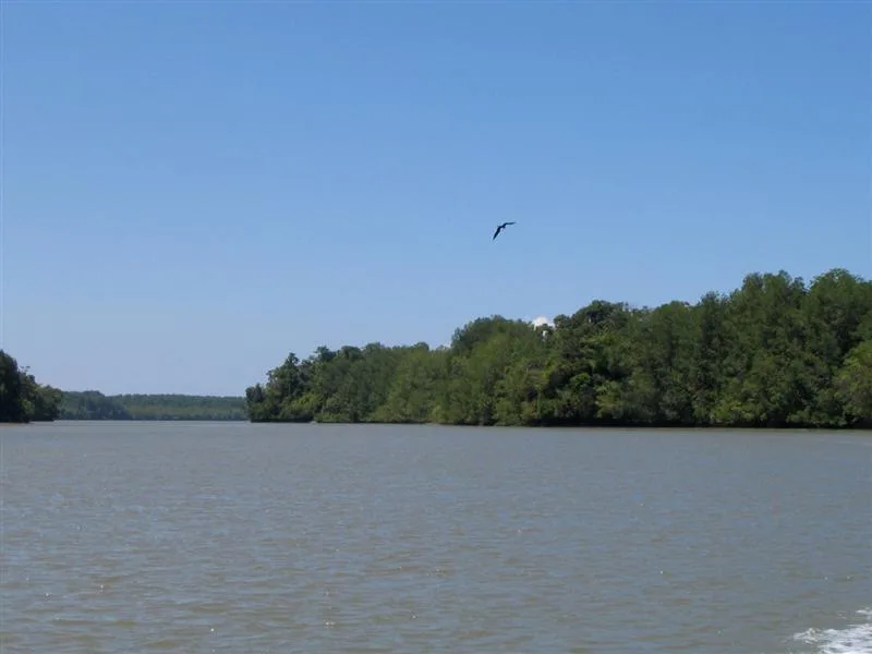0 bed Land For Sale in Golfito, Puntarenas - 1