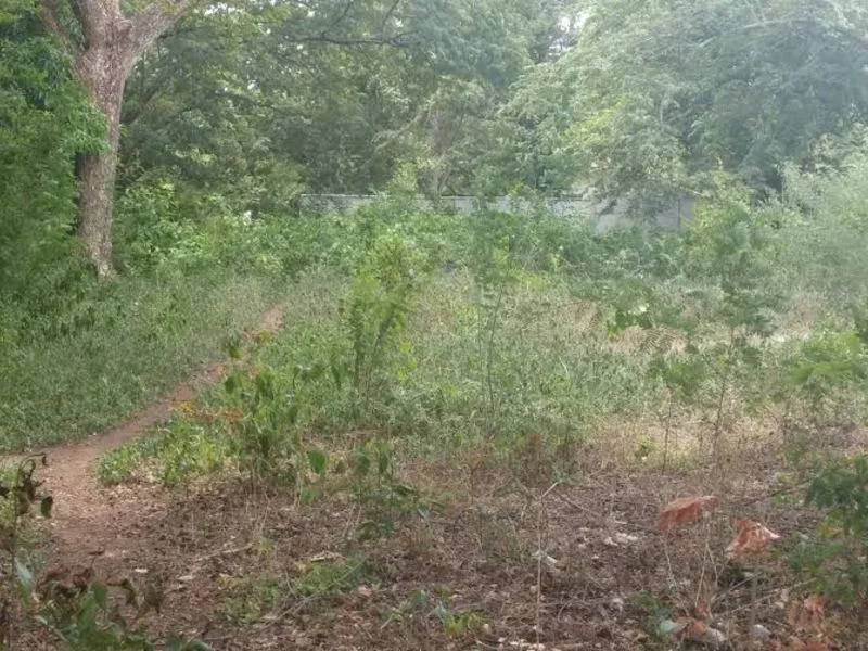 0 bed Land For Sale in Hermosa, Guanacaste - 1