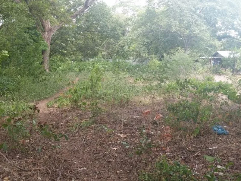 0 bed Land For Sale in Hermosa, Guanacaste - 1