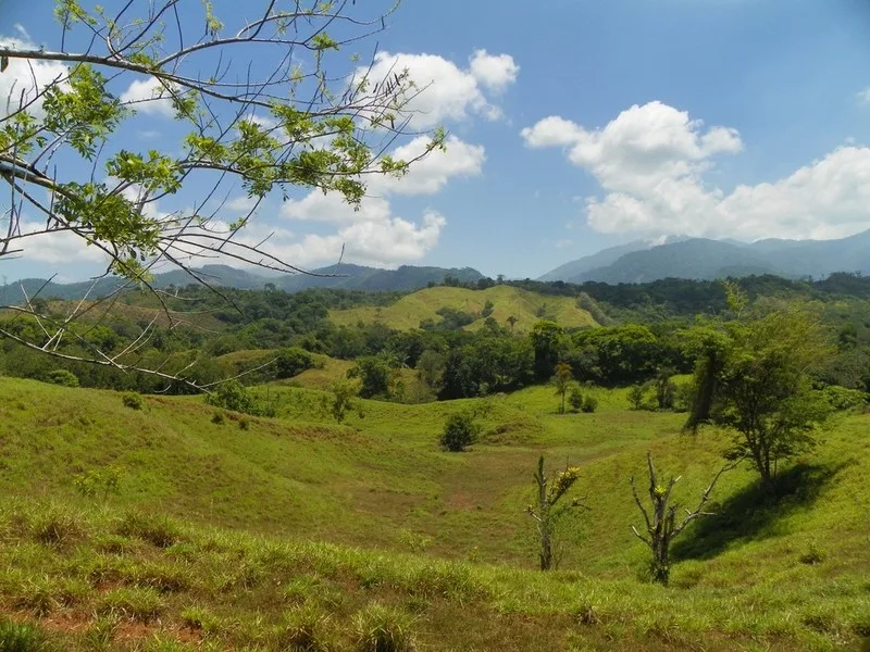 0 bed Land For Sale in Quepos, Puntarenas - 1